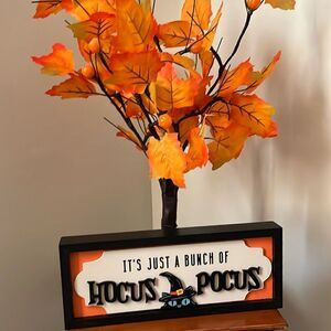 IT’S JUST A BUNCH OF HOCUS POCUS